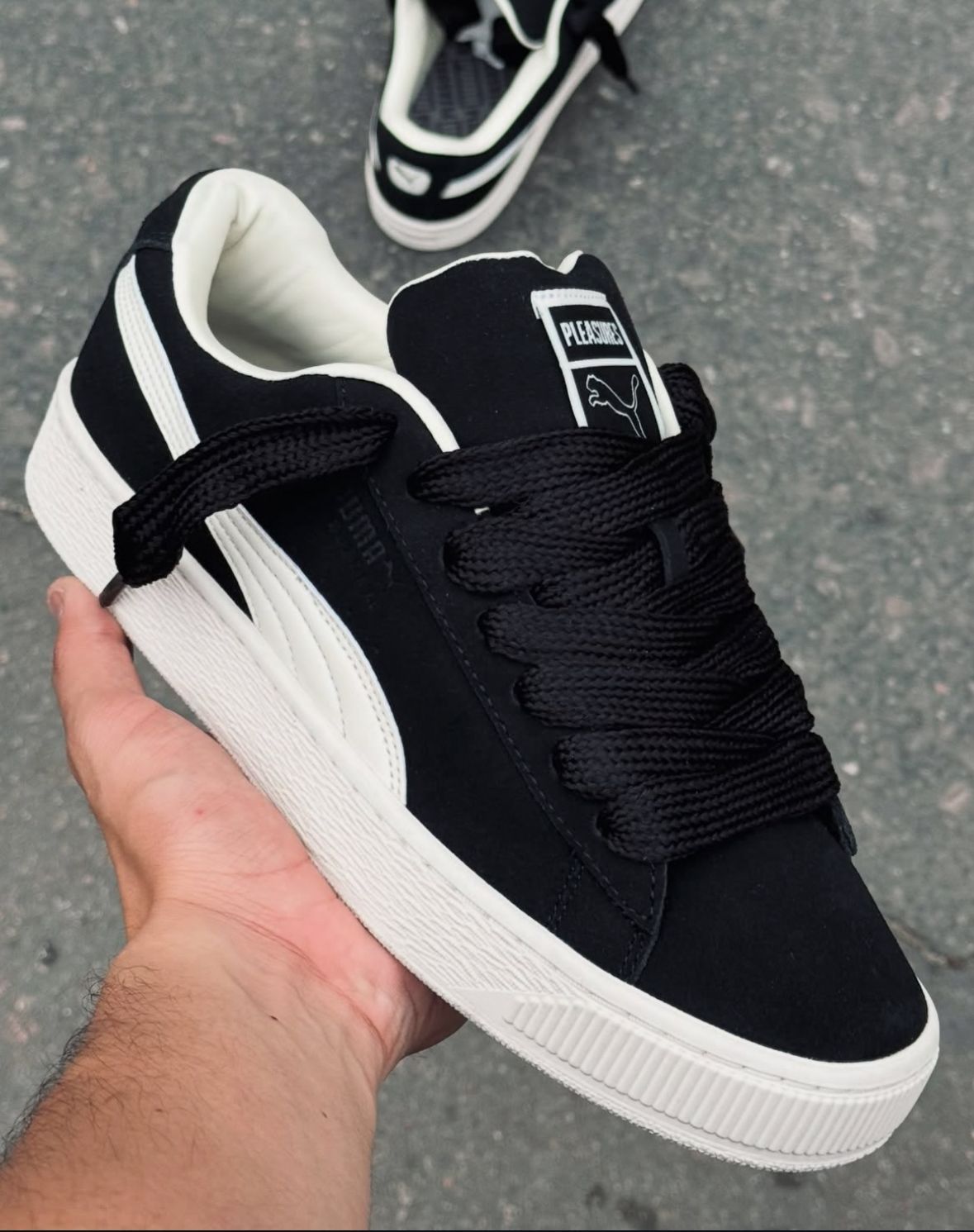 PUMA SUDE - vista secundaria